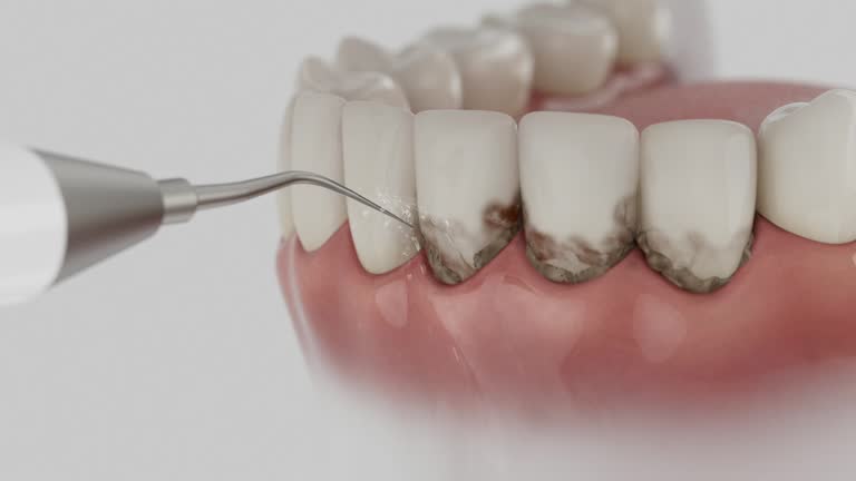Reliable Dental contractor in Alexandria, VA by Dentist Open Now